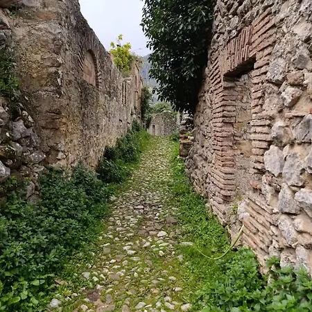 Rural *